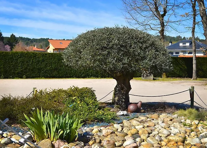 Os Caracoles מלון